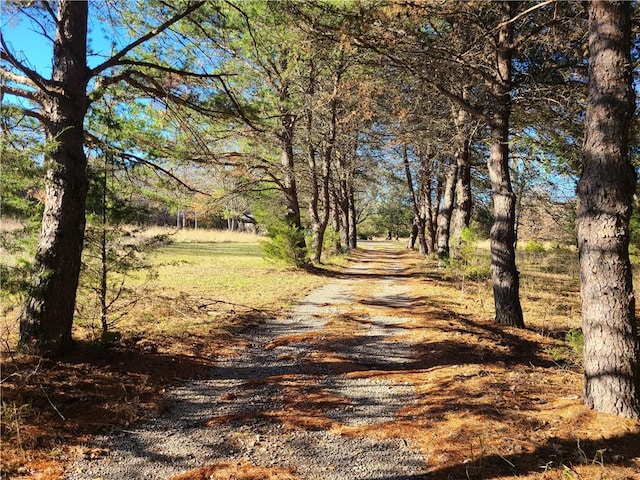 view of road