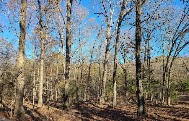 view of nature featuring a forest view