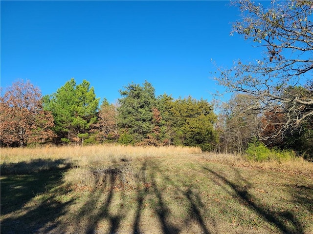 view of local wilderness