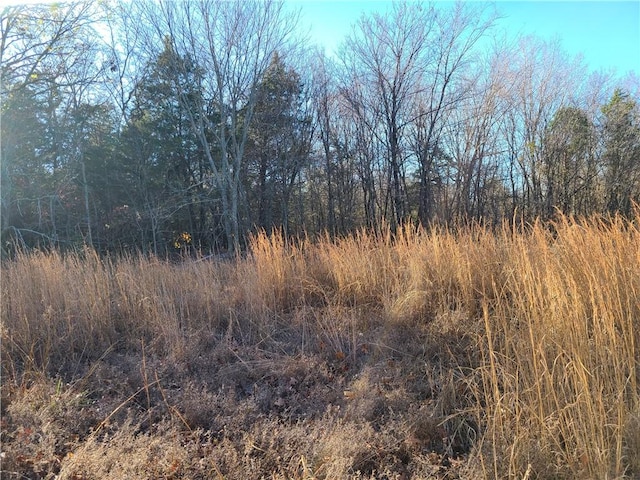 view of local wilderness