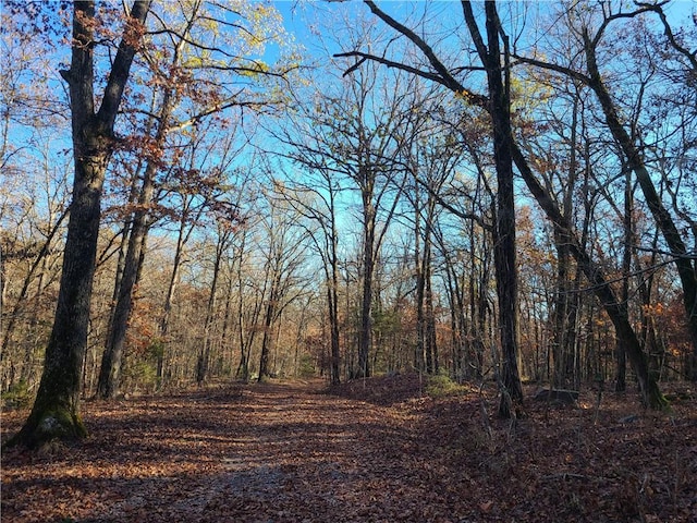 view of local wilderness with a forest view