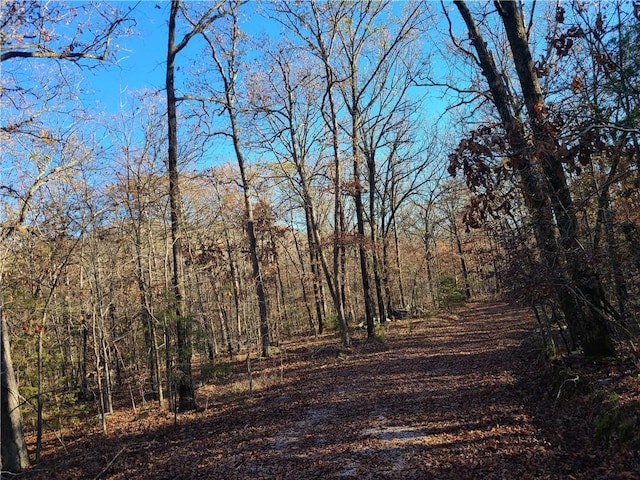 view of landscape with a wooded view
