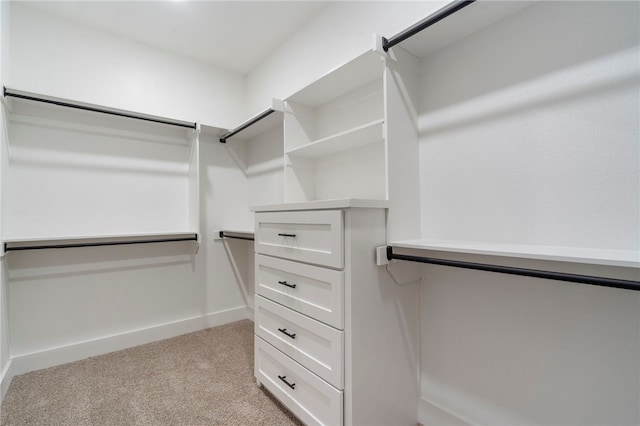 walk in closet featuring light colored carpet