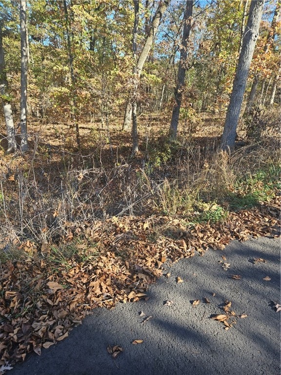 Listing photo 2 for LOT15 Player Ln, Bella Vista AR 72715