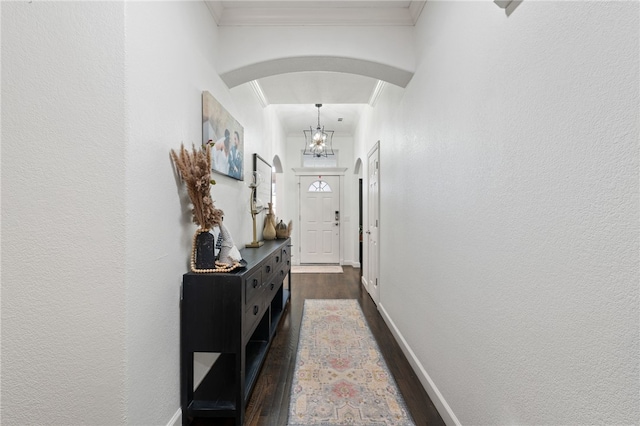 hall with dark hardwood / wood-style flooring and ornamental molding