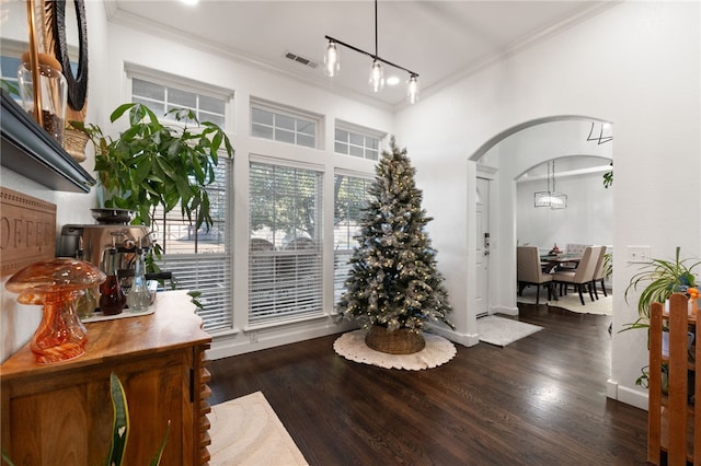 interior space with dark hardwood / wood-style flooring and ornamental molding