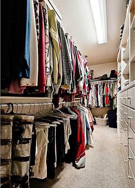 walk in closet with carpet