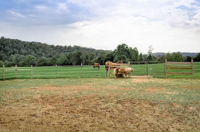 view of yard with a rural view