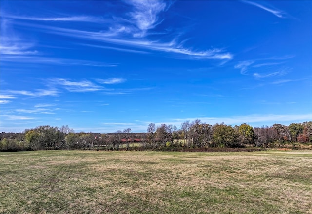 view of yard featuring a rural view