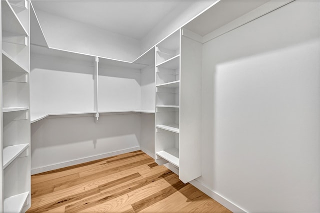 spacious closet with hardwood / wood-style flooring