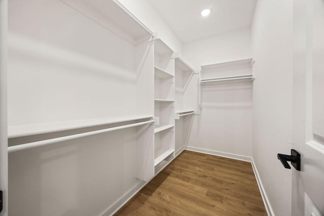 spacious closet featuring wood finished floors