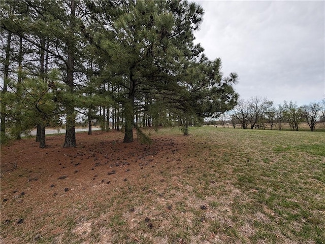 LOT11TBD N Mt Olive Rd, Gravette, AR 72736