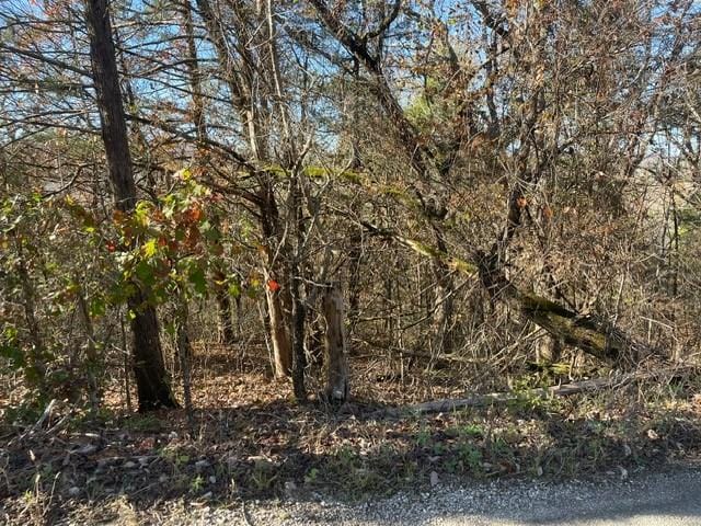 200 Bella Vista Rd, Berryville, AR 72616 - photo 1