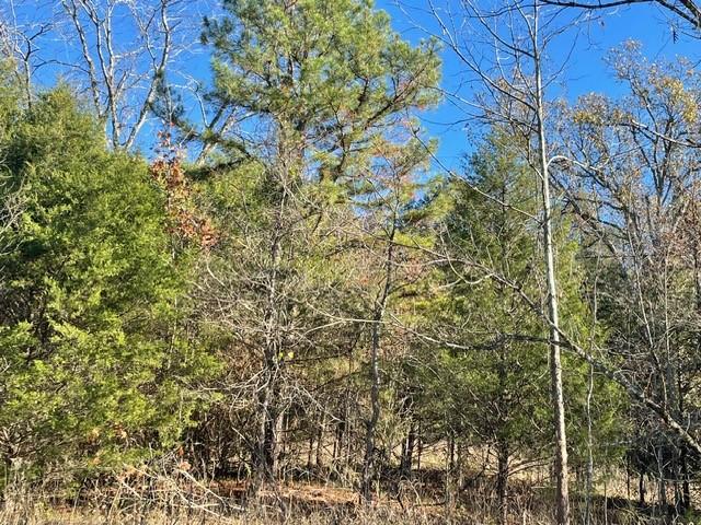 200 Bella Vista Rd, Berryville, AR 72616 - photo 8