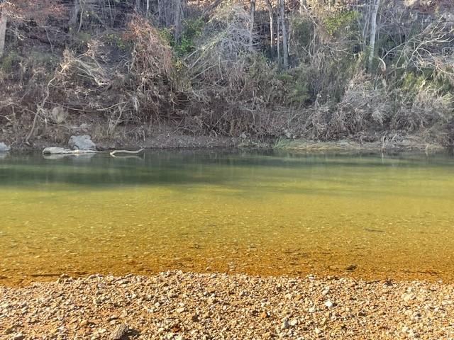 200 Bella Vista Rd, Berryville, AR 72616 - photo 13