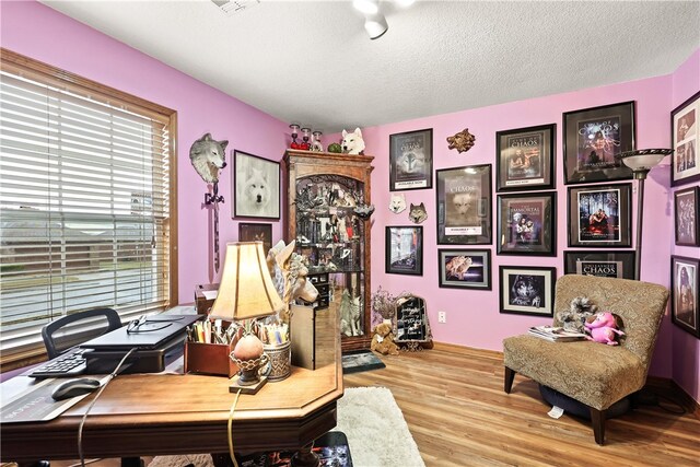 office space featuring a healthy amount of sunlight, light wood-type flooring, and a textured ceiling