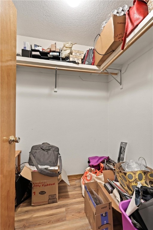 walk in closet with light wood-type flooring