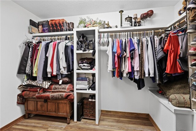 spacious closet featuring hardwood / wood-style flooring