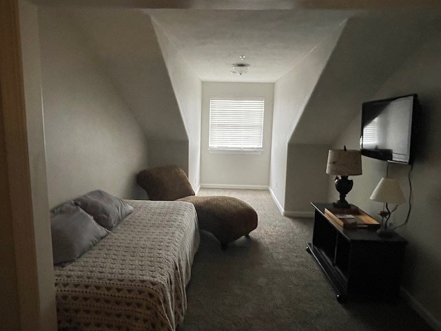 bedroom featuring lofted ceiling and carpet floors