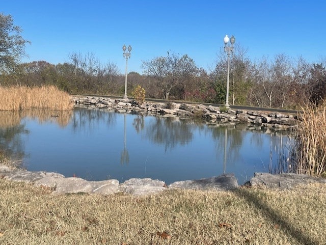 view of water feature