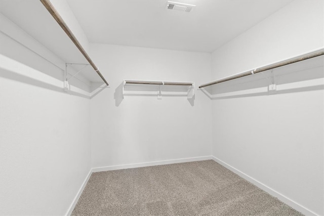 walk in closet featuring carpet flooring