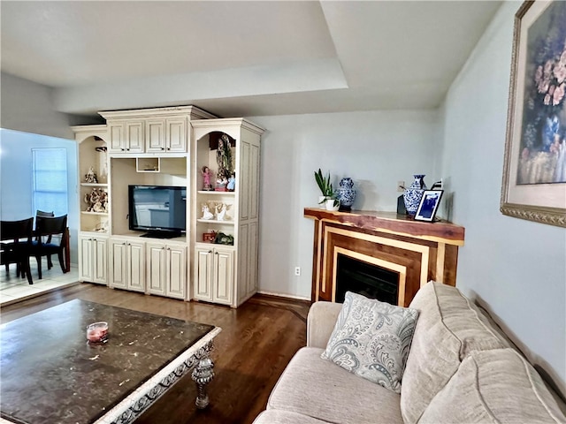 living room with dark hardwood / wood-style floors