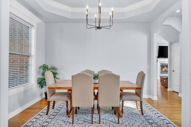 dining space featuring a tray ceiling, light hardwood / wood-style floors, and a healthy amount of sunlight