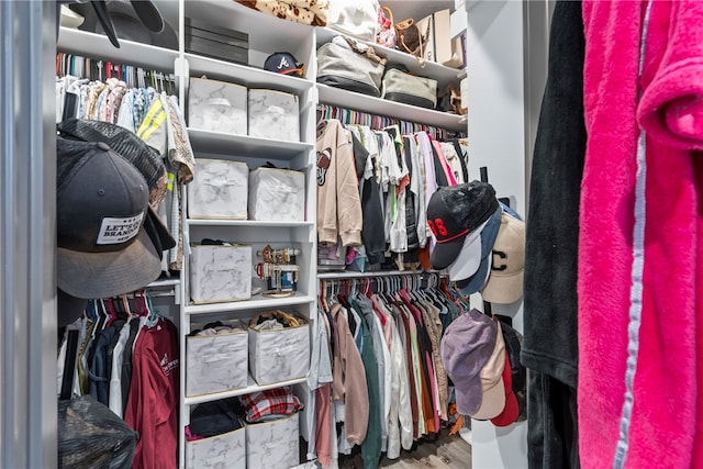 spacious closet with hardwood / wood-style flooring