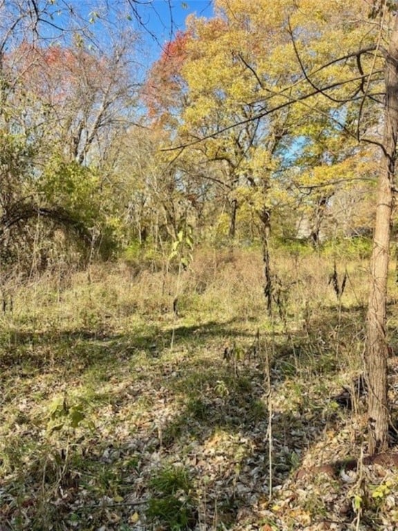 view of local wilderness