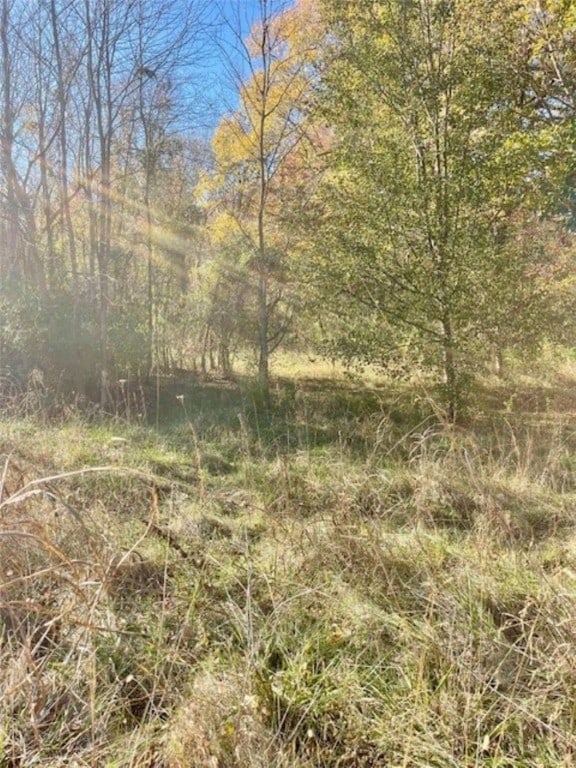 659 Genevieve Ave, Fayetteville, AR 72704 - view of undeveloped land