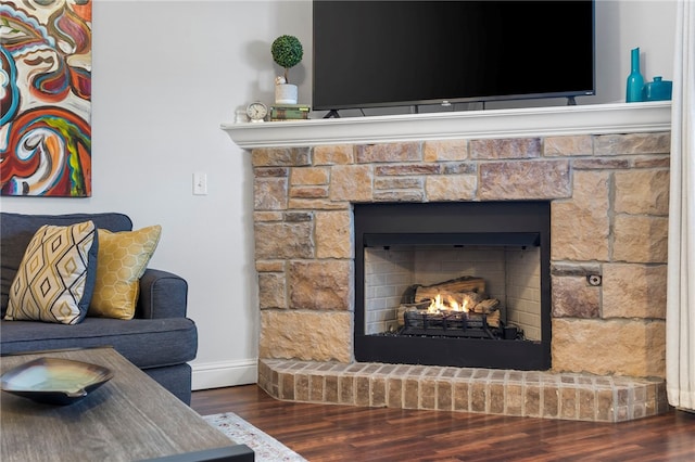 room details with a stone fireplace and wood-type flooring