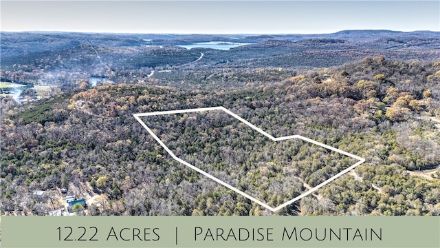 TBD Paradise Mountain Rd, Eureka Springs AR, 72631 land for sale