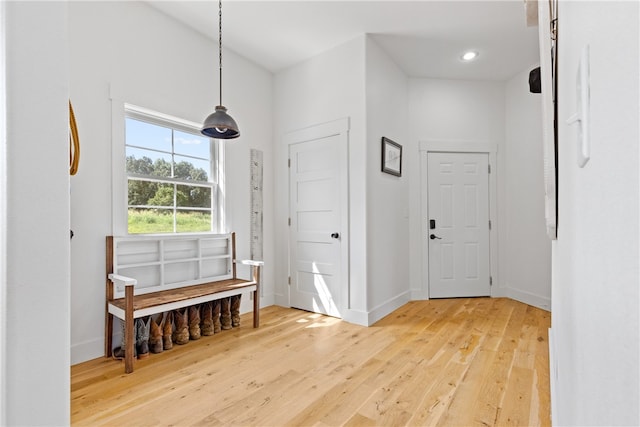 entrance foyer with wood-type flooring