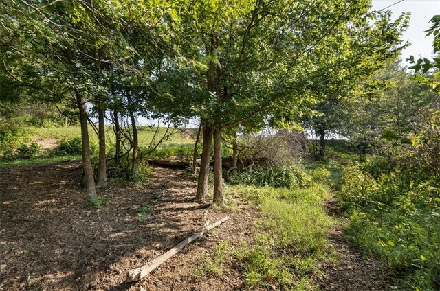 507 Reed Vly, Fayetteville, AR 72704
