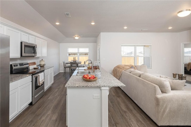 kitchen with a sink, stainless steel appliances, a wealth of natural light, and open floor plan