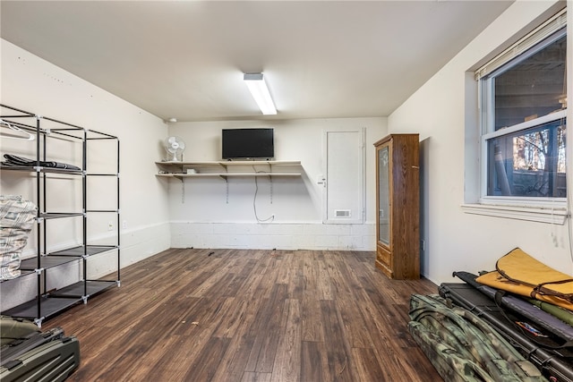 basement with dark hardwood / wood-style flooring