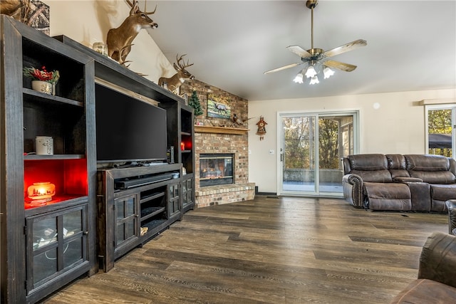 living room with a wealth of natural light, a fireplace, ceiling fan, and dark wood-type flooring