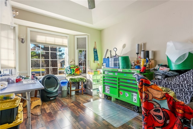 rec room featuring plenty of natural light and dark hardwood / wood-style floors