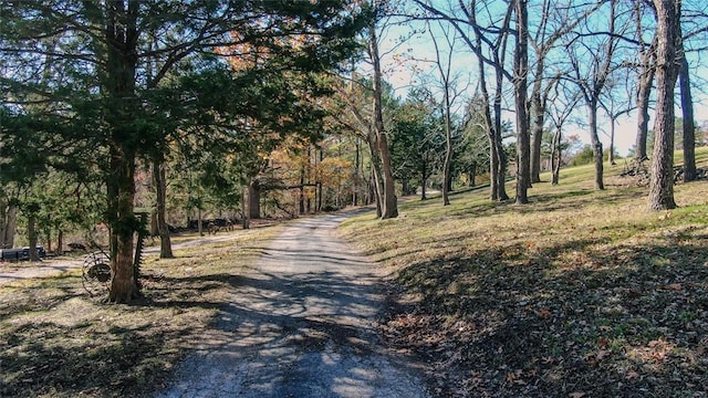 431 County Road 140, Eureka Springs, AR 72632 - photo 39