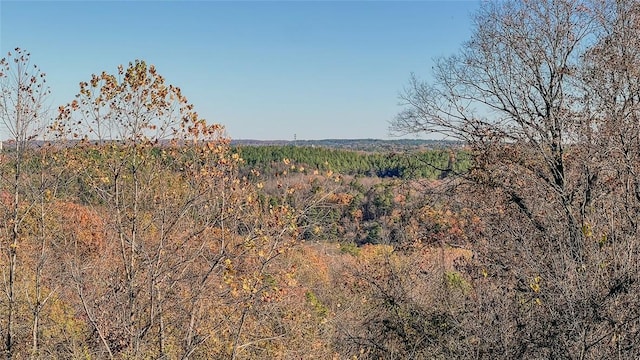 431 County Road 140, Eureka Springs, AR 72632 - photo 26