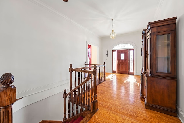 entrance foyer featuring crown molding and light hardwood / wood-style flooring