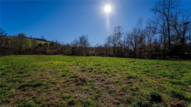 Listing photo 2 for TBD Madison 8388, Huntsville AR 72740