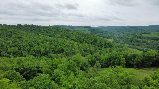 568 Madison 6182 Rd, Wesley, AR 72773 - photo 4