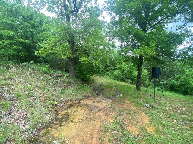 568 Madison 6182 Rd, Wesley, AR 72773 - photo 6