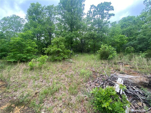568 Madison 6182 Rd, Wesley, AR 72773 - photo 7