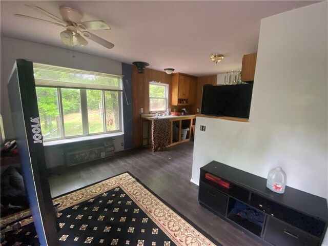 568 Madison 6182 Rd, Wesley, AR 72773 - photo 12