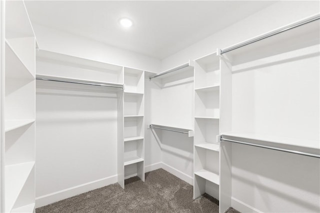 6309 NW Harley St, Bentonville, AR 72713 - walk in closet with dark colored carpet