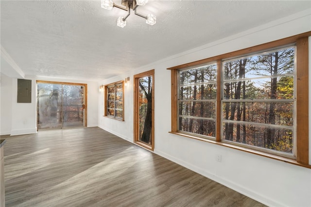 empty room with plenty of natural light, a textured ceiling, electric panel, and dark hardwood / wood-style flooring