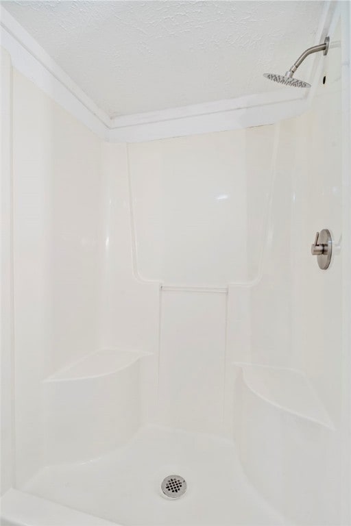 10305 Jims Trl, Rogers, AR 72756 - bathroom with a shower and a textured ceiling