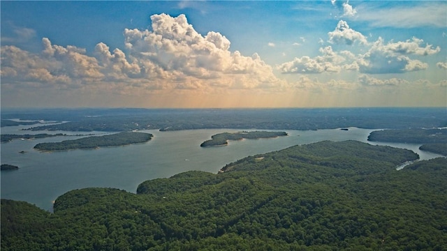 10305 Jims Trl, Rogers, AR 72756 - drone / aerial view of a nearby body of water and a heavily wooded area